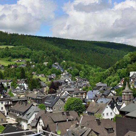Beautiful Apartment In Willingen With Balcony Экстерьер фото