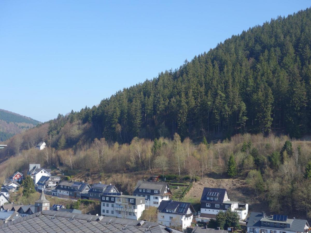 Beautiful Apartment In Willingen With Balcony Экстерьер фото